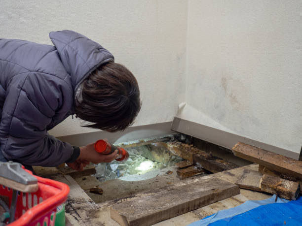 Best Biohazard Mold Removal  in Dunlap, IL