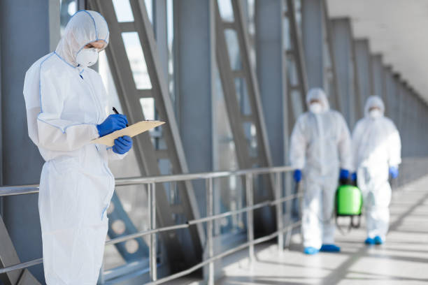 Best Mold Documentation for Insurance Claims  in Dunlap, IL