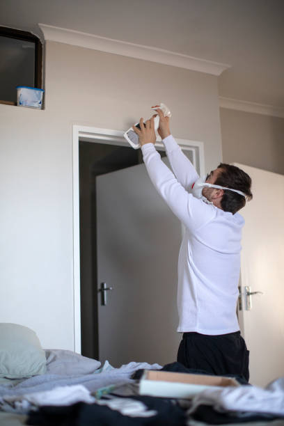 Best HVAC Mold Inspection and Cleaning  in Dunlap, IL