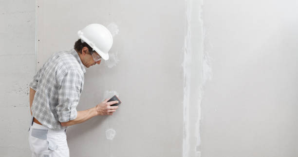 Professional Mold Removal in Dunlap, IL