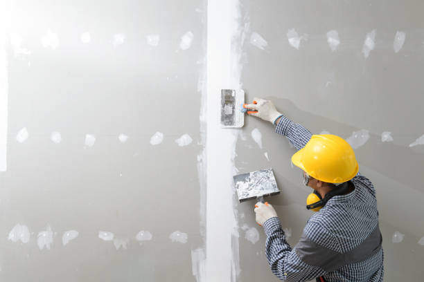 Best Mold Damage Restoration  in Dunlap, IL