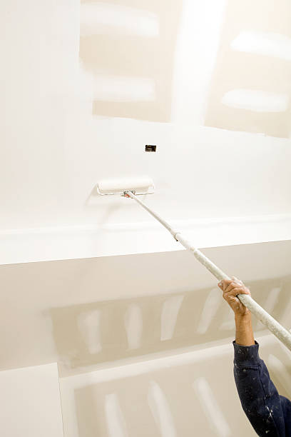 Best Environmental Consulting for Mold Prevention  in Dunlap, IL