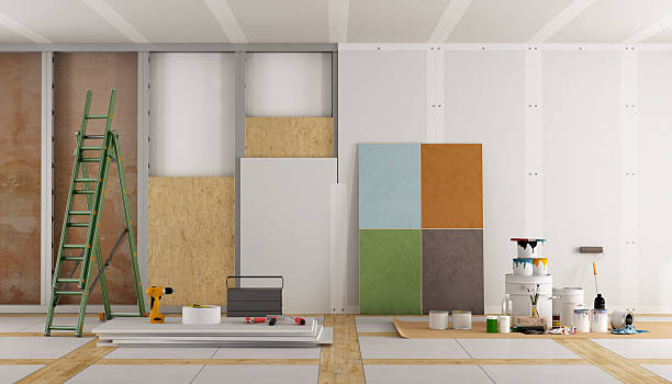 Best Mold Odor Removal Services  in Dunlap, IL