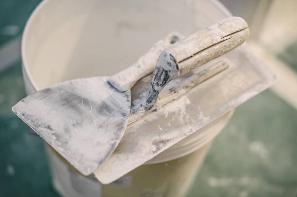 Best Forensic Mold Investigation  in Dunlap, IL