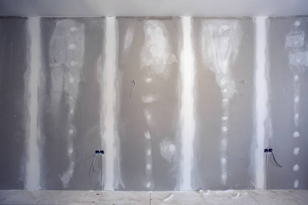 Best Post-Construction Mold Inspection  in Dunlap, IL