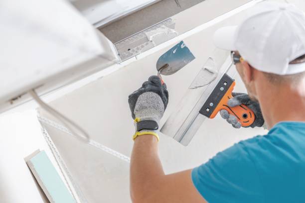 Best Basement Mold Removal  in Dunlap, IL